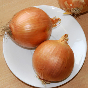 ONION AILSA CRAIG seed image