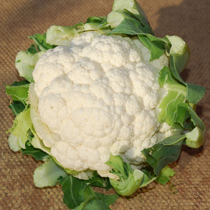 CAULIFLOWER ALL YEAR ROUND seed image
