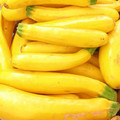 COURGETTE ATENA POLKA F1 seed image