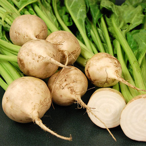 BEETROOT AVALANCHE F1 seed image