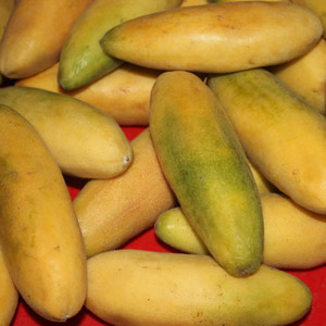 BANANA PASSION FRUIT seed image