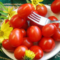TOMATO BASELBIETER ROTELI seed image
