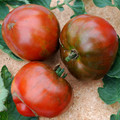 TOMATO BLACK AISBERG seed image