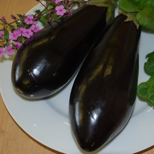 AUBERGINE BLACK BEAUTY seed image