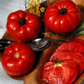 TOMATO BLACK MOUNTAIN PINK seed image