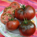 TOMATO BLACK PRINCE seed image