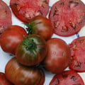 TOMATO BLACK SEA MAN seed image