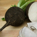 RADISH BLACK SPANISH ROUND seed image