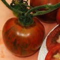 TOMATO BLACK ZEBRA seed image