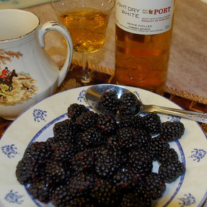 BLACKBERRY BEST CULTIVAR MIX seed image