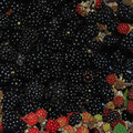 BLACKBERRY BRAMBLE seed image