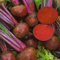 BEETROOT BOLTARDY seed image