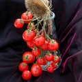 TOMATO BOUNTIFUL seed image