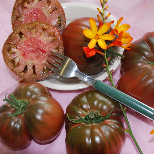 TOMATO BRAD'S BLACK HEART seed image