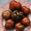 TOMATO BRANDYWINE BLACK seed image