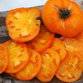 TOMATO BRANDYWINE YELLOW seed image