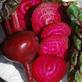 BEETROOT BULL'S BLOOD seed image