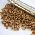 BUPLEURUM LOPHOCARPUM seed image