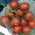 TOMATO CHOCOLATE CHERRY seed image