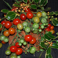 TOMATO CHRISTMAS GRAPES seed image