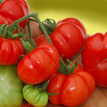 TOMATO COSTOLUTO GENOVESE seed image