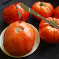 TOMATO COUILLES DE TAUREAU seed image