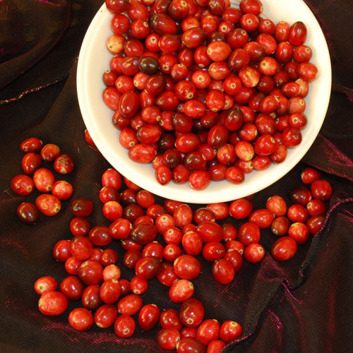 CRANBERRY seed image