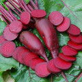 BEETROOT CYLINDRA seed image