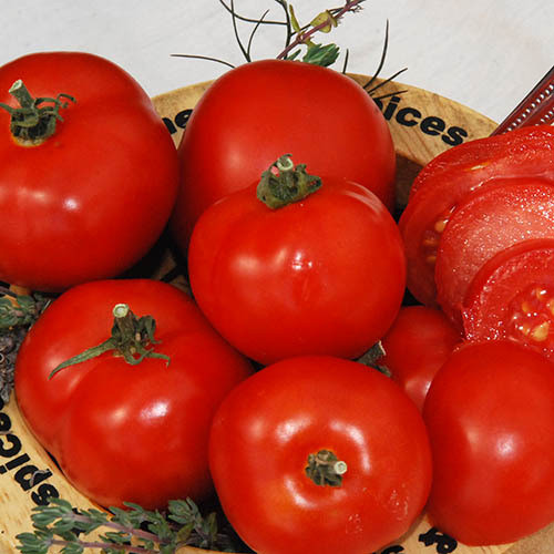 TOMATO CZECH BUSH seed image