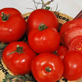 TOMATO CZECH BUSH seed image