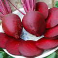 BEETROOT DETROIT RED GLOBE seed image