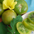TOMATO DWARF BERYL BEAUTY seed image