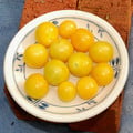 TOMATO EGG YOLK seed image