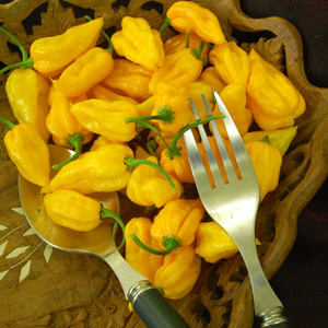 PEPPER FATALII YELLOW seed image