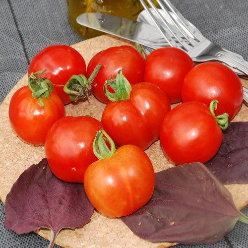 TOMATO FATHER FROST seed image