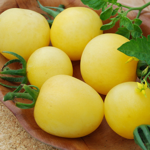 TOMATO GARDEN PEACH seed image