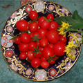TOMATO GARTENPERLE seed image