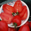 TOMATO GERMAN RED STRAWBERRY seed image