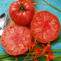 TOMATO GIANT SYRIAN seed image