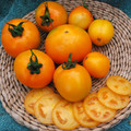 TOMATO GOLD DUST seed image