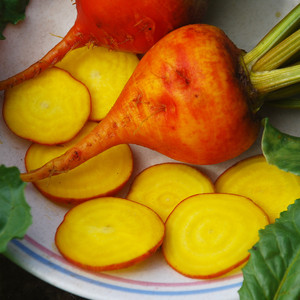 BEETROOT GOLDEN BEET seed image