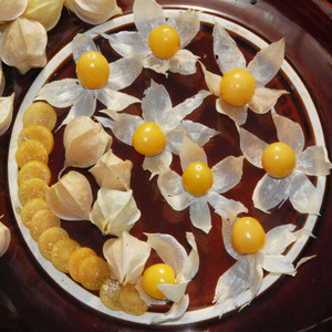 GOLDEN BERRY seed image