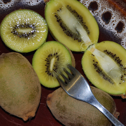 KIWI FRUIT GOLDEN seed image