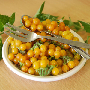 GOLDEN PEARLS  (GOLDEN WONDERBERRY) seed image