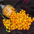 TOMATO GOLDRUSH CURRANT seed image