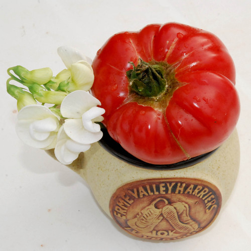 TOMATO GRANNY CANTRELL'S GERMAN RED seed image