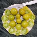 TOMATO GREEN GRAPE seed image
