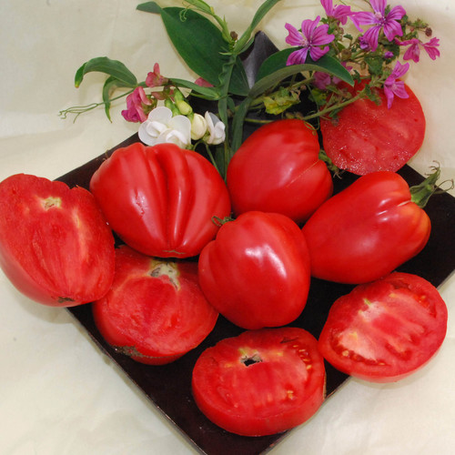 TOMATO HUNGARIAN HEART seed image