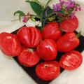 TOMATO HUNGARIAN HEART seed image
