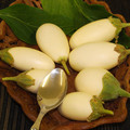 AUBERGINE JAPANESE WHITE EGG seed image